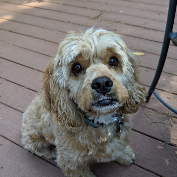 Meet your Posher, Karen - Picture 6 of 8